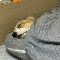 한계 cover