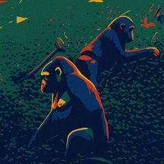 Gorillas in the Mist