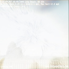 tibslc x Ludwig Wandinger - little birds or how I've folded myself into a tiny letter