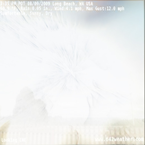 tibslc x Ludwig Wandinger - little birds or how I've folded myself into a tiny letter