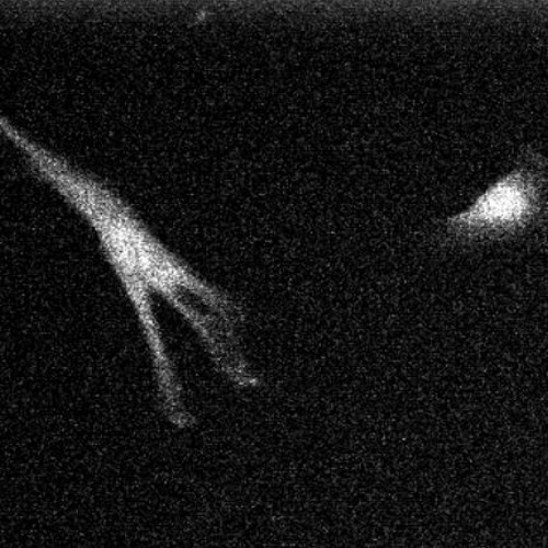 Stream Step By Step By Safetyfirst Listen Online For Free On Soundcloud