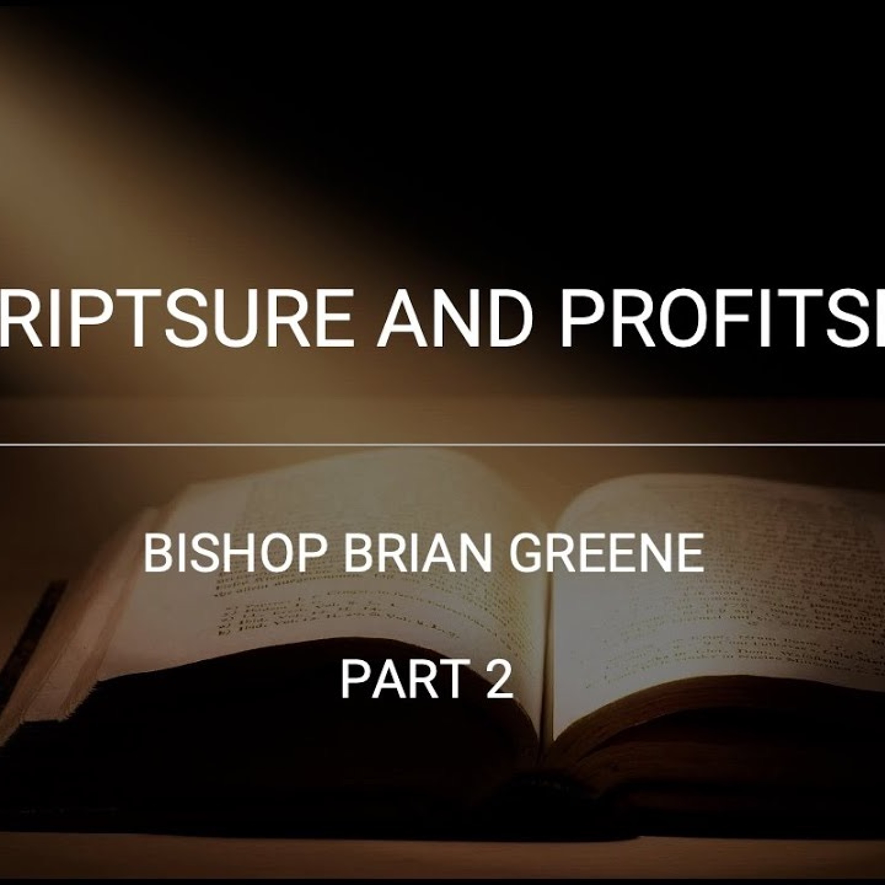 Scriptsure And Profitsee! Part 2 episode artwork
