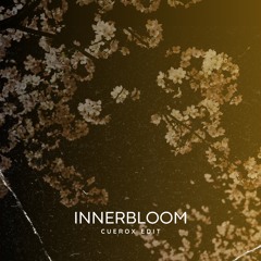 RÜFÜS DU SOL - Innerbloom (Cuerox Edit) [FREE DOWNLOAD]