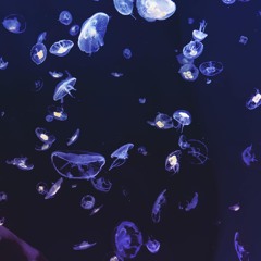 Water (Electroacoustic Piece)