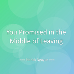 You Promised in the Middle of Leaving