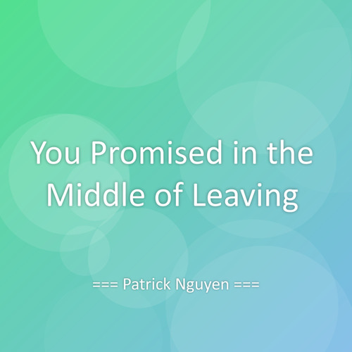 You Promised in the Middle of Leaving