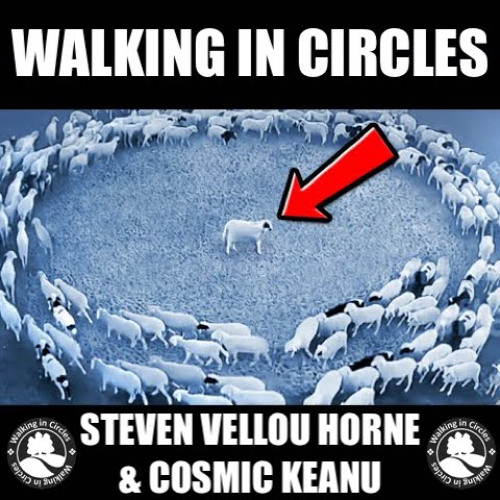 WALKING IN CIRCLES by STEVEN VELLOU HORNE & COSMIC KEANU