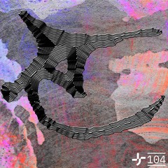 SI104 - ECHION