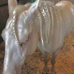 dj laura presents: ambient hardcore