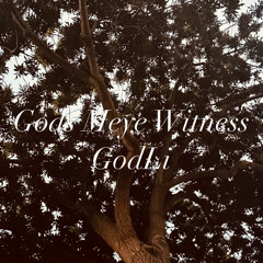 God's Meye Witness
