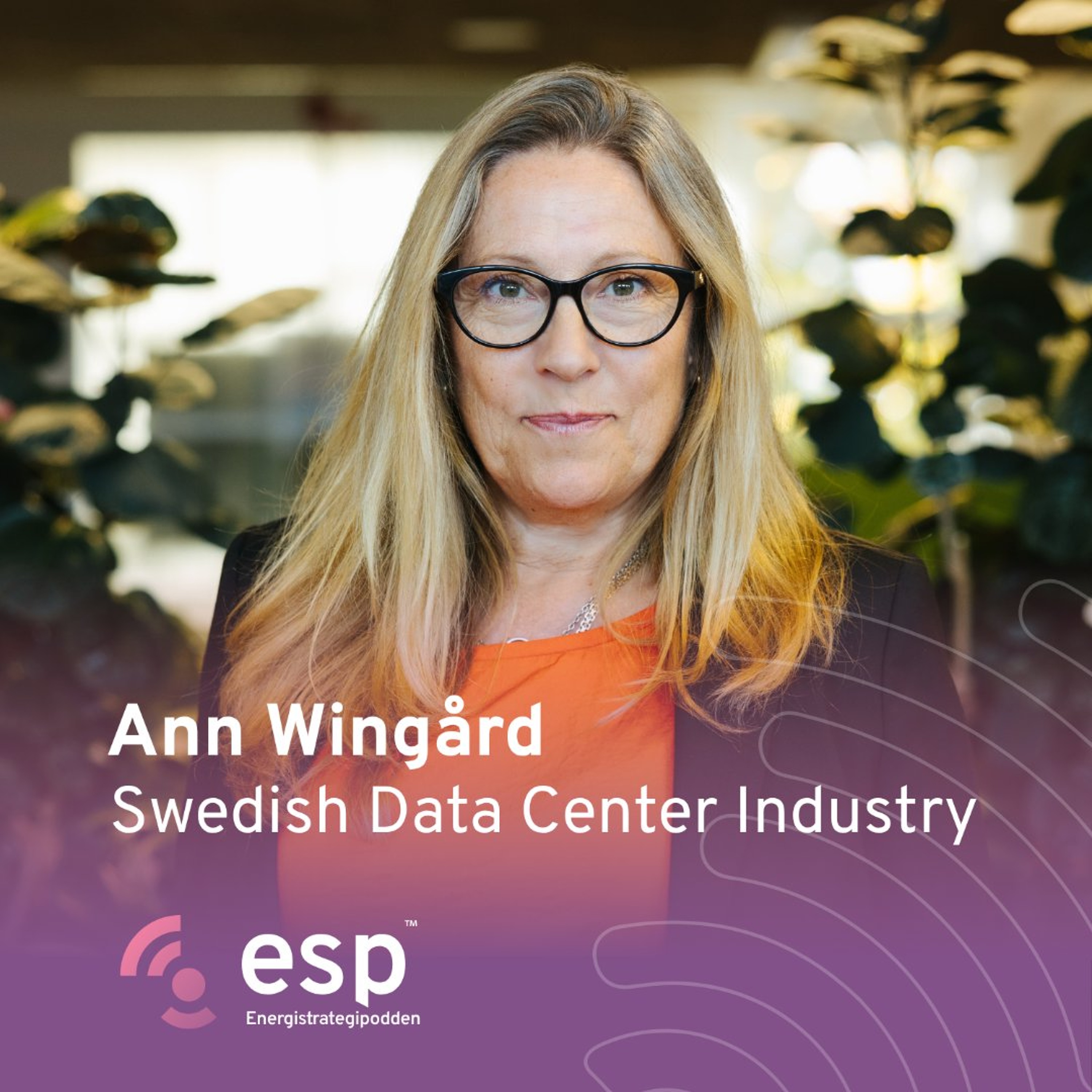 #378 - Ann Wingård, Swedish Data Center Industry episode artwork