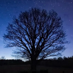 wish I could care - a blue dawn