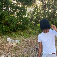 codiene dreamz 2 prod. tritri
