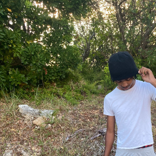 codiene dreamz 2 prod. tritri