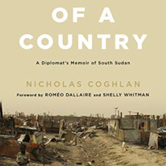 GET EPUB 💛 Collapse of a Country: A Diplomat's Memoir of South Sudan by  Nicholas Co
