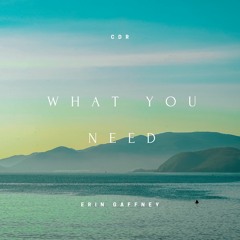 What You Need Ft Erin Gaffney