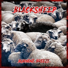Black Sheep