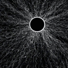 CELESTIAL MADNESS (PROD. NOIRE)