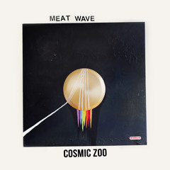 Cosmic Zoo