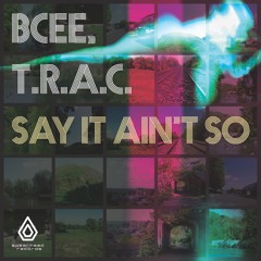 BCee & T.R.A.C. - Say It Ain't So - Spearhead Records