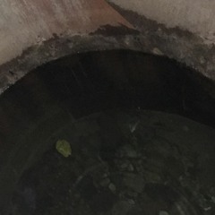 поплавленыи и миша маца - 667 (ентверден)