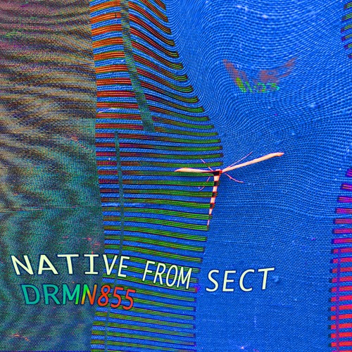 Native From Sect – DRMN855