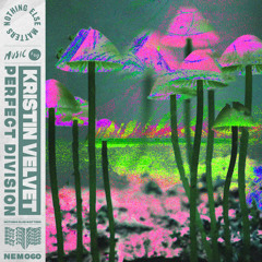 Perfect Division (Extended Mix)