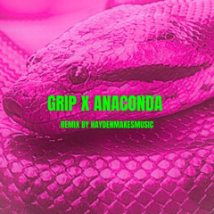 Grip x Anaconda (HAYDENMAKESMUSIC Remix)