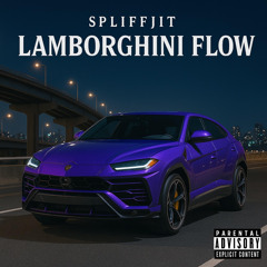 Lamborghini Flow