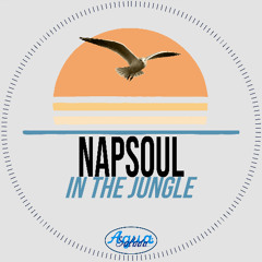 Napsoul - In The Jungle (Original Mix) [Agua Salada Records]