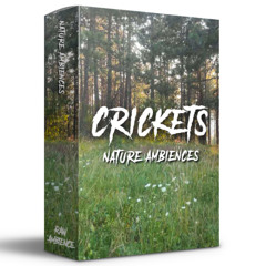 Crickets - Nature Ambiences (preview)