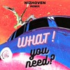 Don Toliver - What You Need (Nizhoven Remix) Don Toliver - What You Need (Nizhoven Remix)