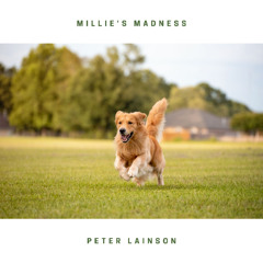 Millie's Madness