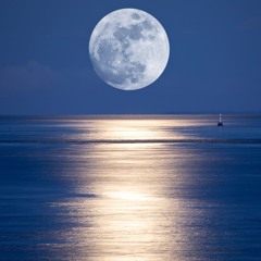 Sleeping Satellite (Tasmin Archer cover)