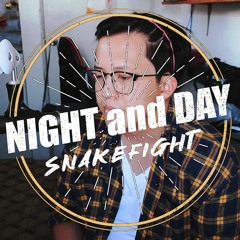 Night And Day | Snakefight Cover (2023)