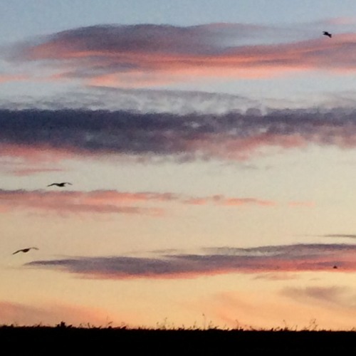 28. where winds blow onshore