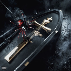 tSPIDER