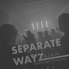 Separate Wayz (Beephouse Pain Mix) // Unofficial Release