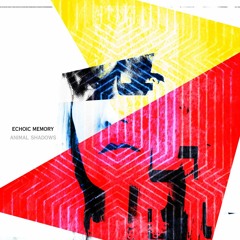 ECHOIC MEMORY - ‘Animal Shadows’ (Excerpts from debut EP)