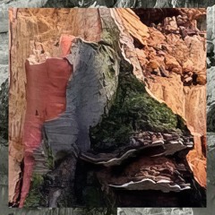 Olivan & Georgy Spice -  Father and Son (Original Mix)