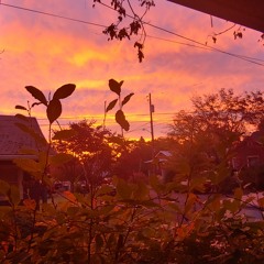 )  Surrender  to  )^(    Sunsets   )  (