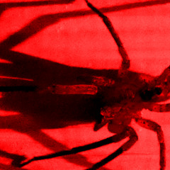 ⃝̀ ́ ̂ ̃ ̄ ̅ ̆ ̇ ̈ ̉ ̊ ̋ ̌ ̍ ̎💥 ̏ ̐ ̑ ̒ ̓ ̔ ̕ ̶ ̷ ̸ ̹ ̺ ̻ ⃝ ̼ ̽ ̾ ̿ ̀ ́ ͂ ̓ ̈́ ͅ ͆ ͇ ͈ ͉ ͊💥 ͋ ͌ ͍ ͎ ͏ ͠ ⃝