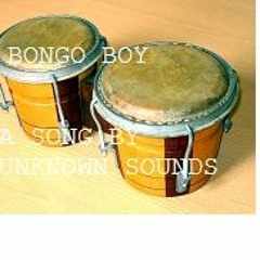 Bongo Boy