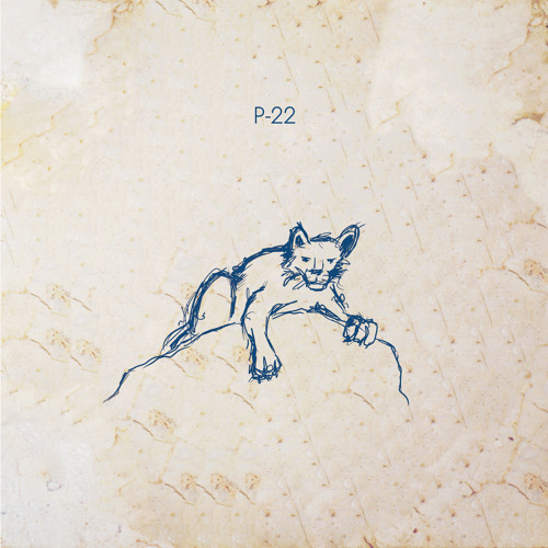 P-22