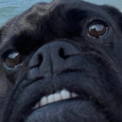 Phobia (demo for my actual band)