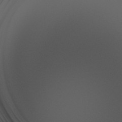 fake human's delusion