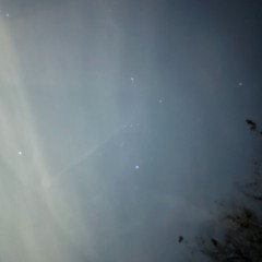starlight