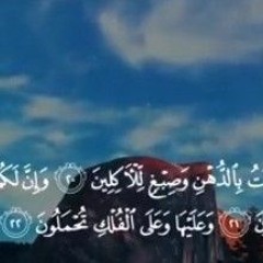 اداء رائع تطيب له النفس...و شجرة تخرج من طور سيناء ..تلاوة رائعة للراحل الشيخ الحصرى رحمه الله.🌹