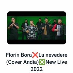 LIVE_La nevedere - Florin Bora și Orchestra Campionii