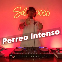 Perreo Intenso Mix | Reggaeton Mix Vol. 1 | Feid, Cris Mj, Bad Bunny | DJ SILENCIO | Party Mix